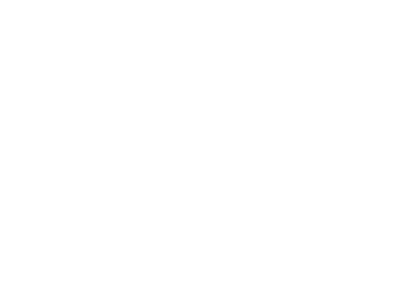 Health and Wellness Foundation Logo